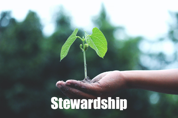  Stewardship
